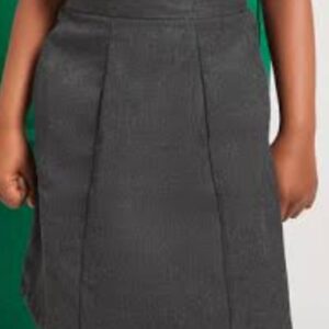 skirt- regulor ( 1st to 10th class / girls )- brigade public school